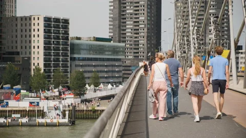 Pedestrians on the bridge Stock Footage 203438780