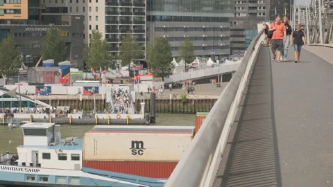 Pedestrians on the bridge Video stock 203441838