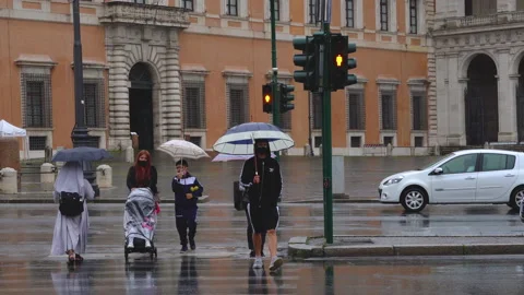 Pedestrians cross the intersection with the traffic light Stock Footage 133075278