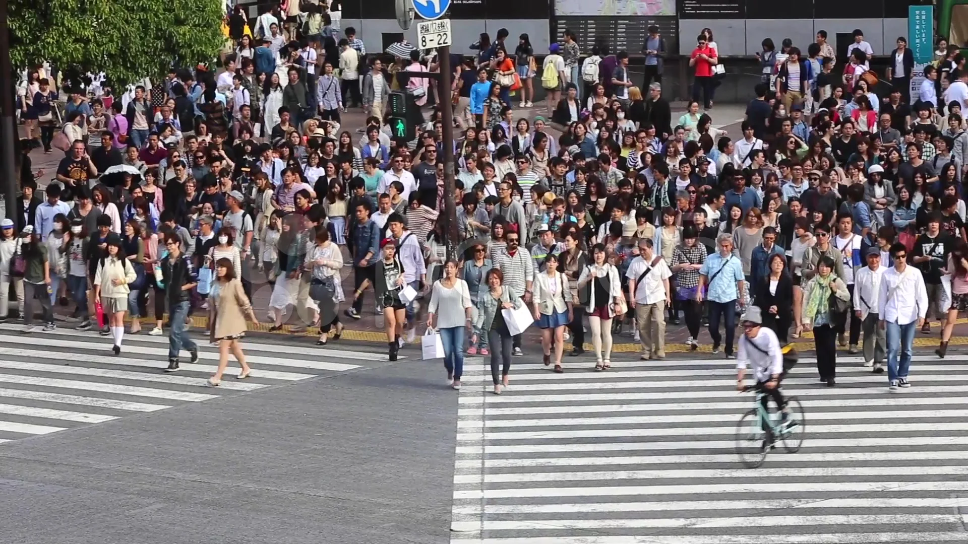 Tokyo, the Ginza. Foreground, people crossing on zebra crossing