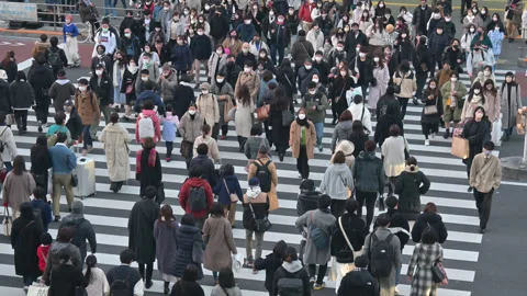 Pedestrians Crossing Video stock 248719060