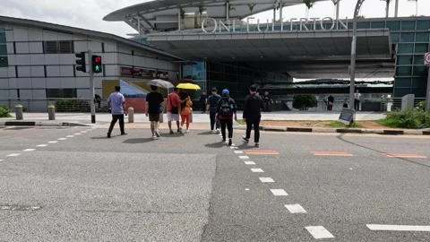 Pedestrians Crossing Urban Intersection Stock Footage 262302735