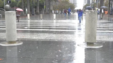 Pedestrians at crosswalk, rain Stock-Footage 59736057