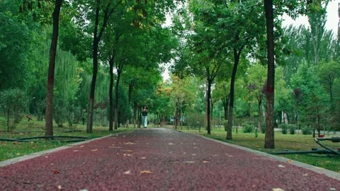 Pedestrians on the park path Stock Footage 234053911