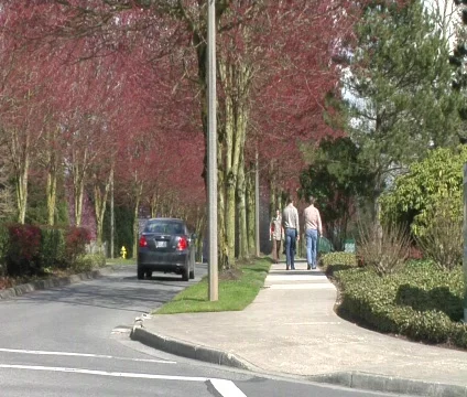 Pedestrians on Sidewalk Video stock 326507