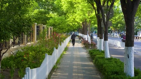 Pedestrians on the sidewalk Stock Footage 197913667