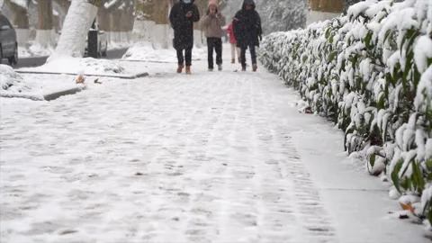 Pedestrians on Snow-Covered Sidewalk During Winter Snowfall in Urban Park Video stock 341958321