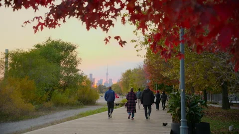 Pedestrians stroll along park paths at sunset in late autumn Video stock 329201552