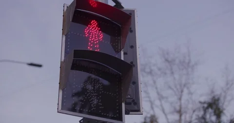 Pedestrians Traffic Light Stock Footage 80895929