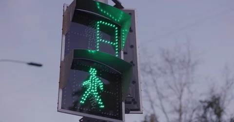 Pedestrians Traffic Light Stock Footage 80896108