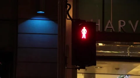 Pedestrians Traffic Lights Stock Footage 45841874