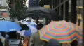 Pedestrians With Umbrellas, New York Street HD Footage
