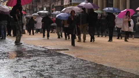 Pedestrians under rain with umbrellas. Stock Footage 10734369