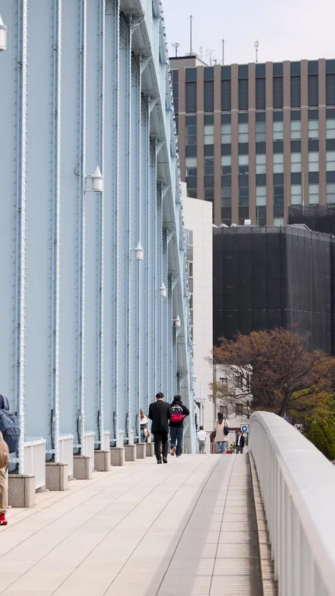 Pedestrians Walking Across Eitai Bridge in Tokyo Japan 動画素材 341733223