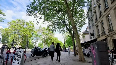 Pedestrians Walking Along a Tree Lined Sidewalk in Paris France Stock Footage 335734050