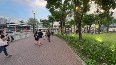 Pedestrians Walking Along Tree-Lined Path at MOA 4K 60fps Vidéo 338350450
