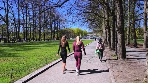 Pedestrians Walking Along Tree Lined Path in Vigeland Park Oslo Norway Stock Footage 339029618