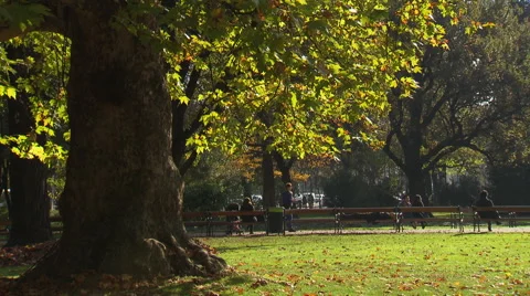 Pedestrians walking In the park Stock Footage 57670351