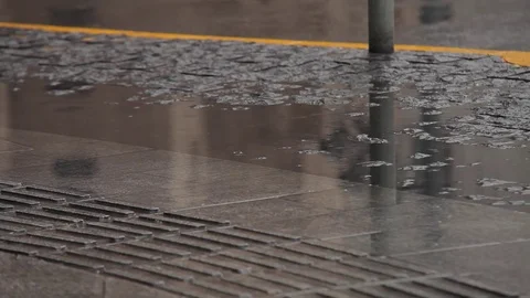 Pedestrians walking on rainy pavement Stock Footage 78030554