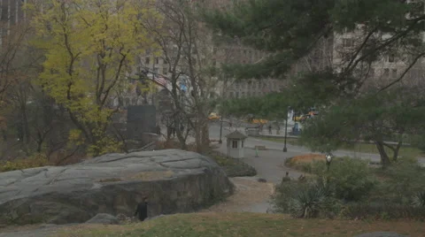 Pedestrians Walking Through Central Park, New York Stock Footage 64271092