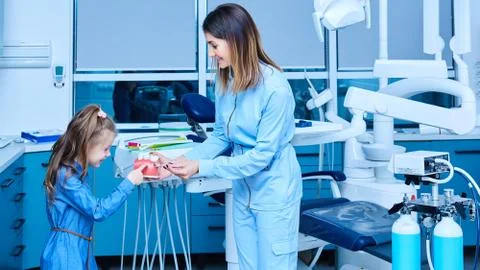 Pediatric dentist showing basic dental hygiene principles. Female pediatric Stock-Fotos