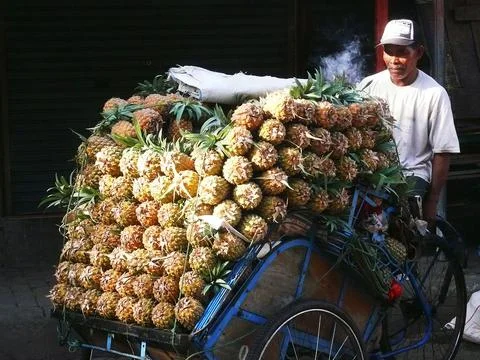 Pedicab driver Stock Photos