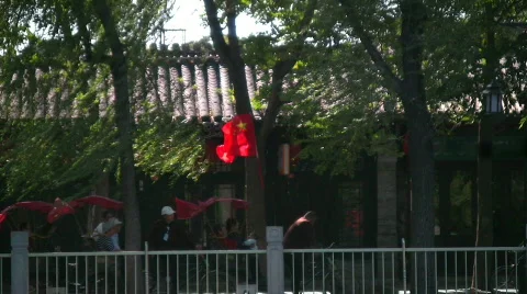 The pedicabs 3 Stock Footage 286278