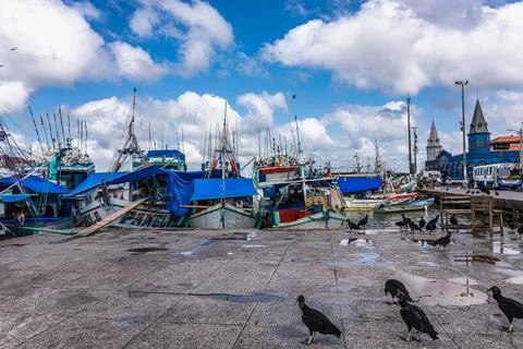 The Pedra do Peixe fish market at Belem, State of Para, Amazon region, Brazil Stock Photos