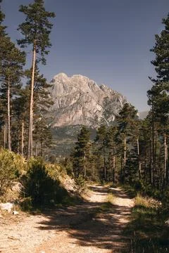 Pedraforca mountain path leading through pine forest Stock Photos