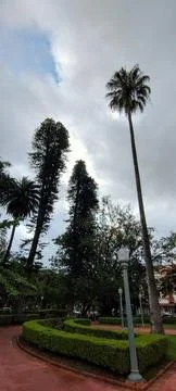 Pedro Sanches Square on a cloudy day Stock Photos