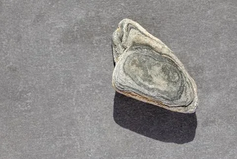 Peeble on gray backdrop 写真素材