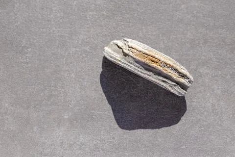 Peeble on gray backdrop Stockfoto's