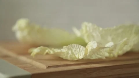 PEEKING CABBAGE Stock Footage 155653538