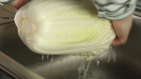 PEEKING CABBAGE WASHING 2 Stock Footage 155653529