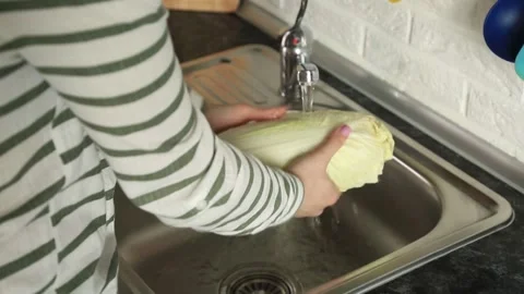 PEEKING CABBAGE WASHING Stock Footage 155653530