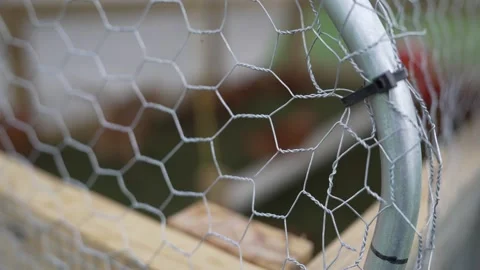 Peeking in on Chickens in a Tractor Stock Footage 276251492
