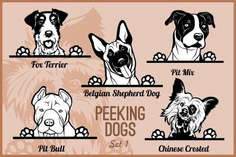 Peeking Dogs - vector set. Heads and paws - dog breeds, black and white Stock Illustration
