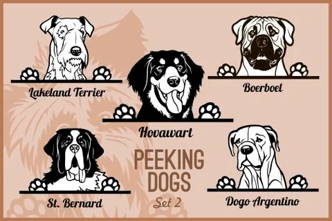 Peeking Dogs - vector set. Heads and paws - dog breeds, black and white Stock Illustration