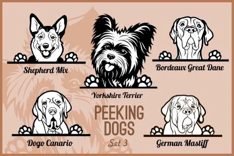Peeking Dogs - vector set. Heads and paws - dog breeds, black and white Stock Illustration