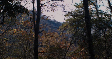 Peeking through a forest at a Scenic Mountain View in 4k Stockbeeldmateriaal 144417071