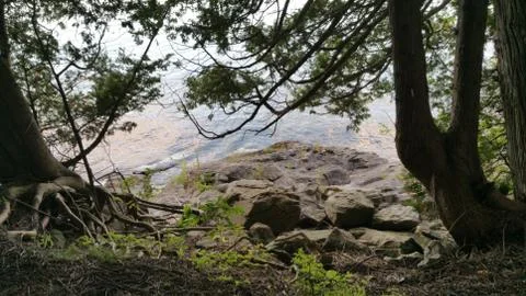 Peeking through the trees on the peninsula at the rocks and lake Foto stock