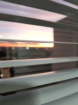 Peeking through the window Stock Photos