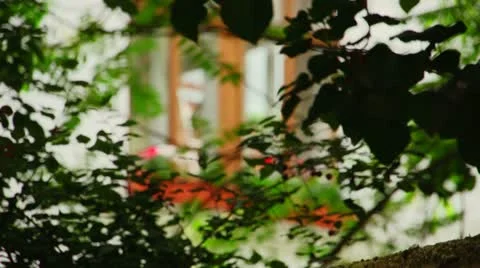 Peeking towards a window Stock Footage 22241686