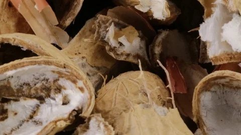 Peel of american peanuts Stock Footage 95704016