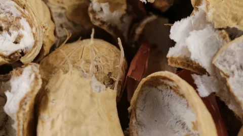 Peel of american peanuts Stock-Footage 95704017