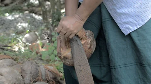 Peel a coconut, remove husk Видео 65280687