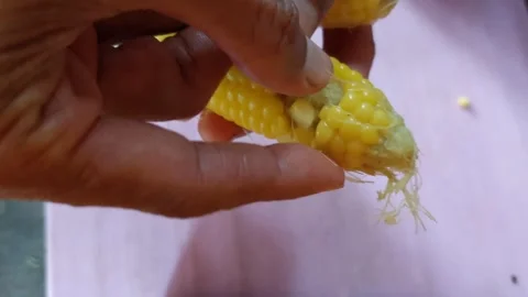 Peel the corn kernels Stock Footage 269788111
