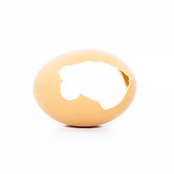 Peel eggshell to skin layers Stock Photos