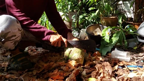Peel the head of a coconut Stock Footage 260440104