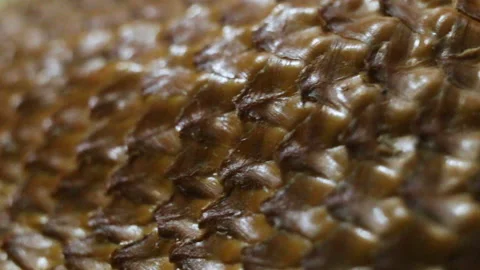 Peel the herring extremely close-up, real time. The texture is similar to reptil Stock Footage 108653523